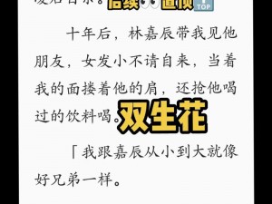 我是谜双生花的秘密揭晓：探寻双生花答案的全面指南