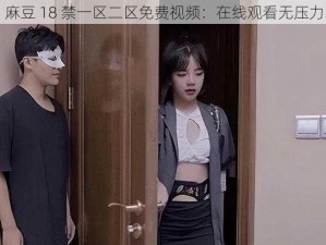 麻豆 18 禁一区二区免费视频：在线观看无压力