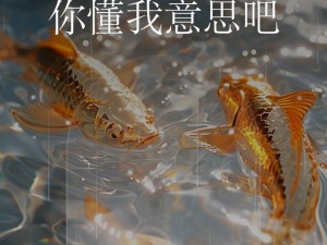 网站你知道我的意思的 www 正能量，一款集正能量视频、文章、音乐等于一体的在线平台