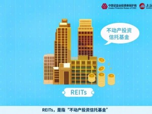 中国 reitsXXX 少妇：一种创新的投资理财产品，为投资者提供多元化的收益机会