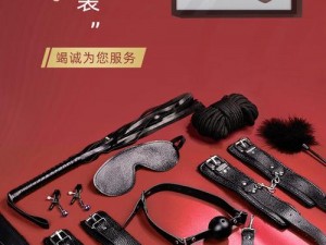 成人情趣用品，激发欲望的私密伴侣