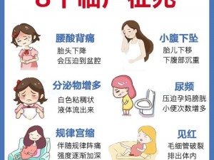 妊娠学院 2.5——为准妈妈提供全面的孕期知识和指导