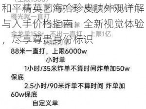 和平精英艺海拾珍皮肤外观详解与入手价格指南：全新视觉体验，尽享尊贵身份标识