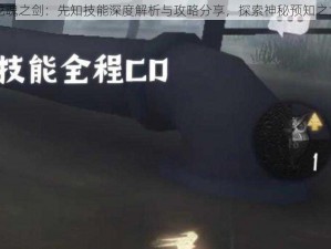 龙魂之剑：先知技能深度解析与攻略分享，探索神秘预知之力