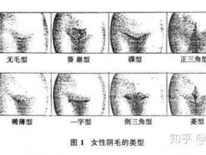 女性毛毛扒开自慰 女性私密部位特写，扒开毛毛自嗨全过程