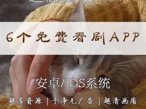 天堂 tv 亚洲 tv 日本 tv 不卡，一款流畅高清的免费追剧 APP