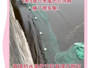 捕鱼来了守卫副炮功能深度解析与实战使用技巧指南：掌握捕鱼精髓，提升副炮应用水平