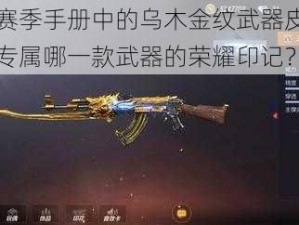 特种兵赛季手册中的乌木金纹武器皮肤归属揭秘：专属哪一款武器的荣耀印记？