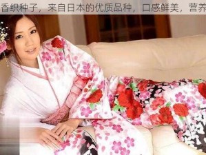 前田香织种子，来自日本的优质品种，口感鲜美，营养丰富