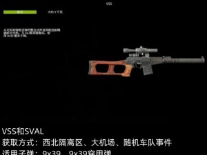 DayZ游戏深度解析：生存挑战与独特玩法体验分享