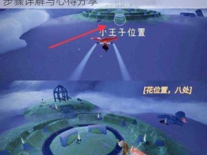 光遇星光沙漠玫瑰花任务全攻略：完成任务步骤详解与心得分享