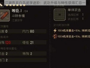 大江湖苍龙白鸟武学进阶：武功升级与特性获得汇总一览