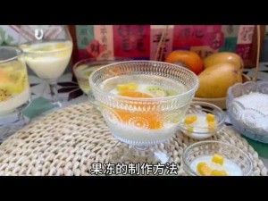 九一制作天美果冻,如何制作九一制作的天美果冻？