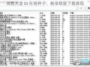 高效天堂 bt 在线种子：畅享极致下载体验