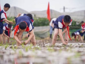 24 种男女插秧法，让你感受前所未有的极致体验