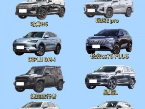 国产 SUV 精品一区二区，高品质的家庭出行选择