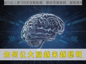 脑力达人第109关攻略秘籍：解锁思维障碍，智胜难关