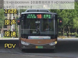 公交车HD18XXXXmm【你是想询问关于 HD18XXXXmm 的公交车的什么信息呢？】