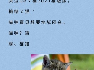 成熟猫咪最新地域网名是什么啥——一款专注于猫咪的社交软件，提供猫咪领养、交流、救助等服务