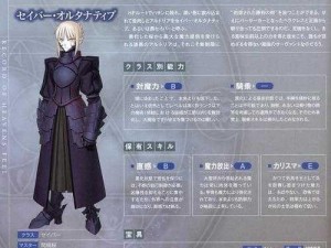 命运冠位指定FGO：全黑猫礼装停车场速刷攻略指南