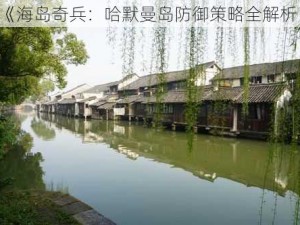 《海岛奇兵：哈默曼岛防御策略全解析》