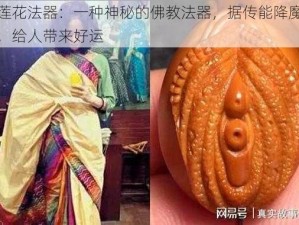 肉莲花法器：一种神秘的佛教法器，据传能降魔驱邪，给人带来好运