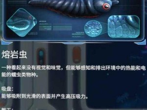 天下X之雷金刚传奇：技能属性深度解析与图鉴一览