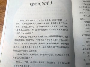 《牧羊人之心：新手指南杂项要点，探索必读秘籍》