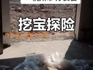 点此进入神秘路口，探索未知的宝藏，发现惊喜连连