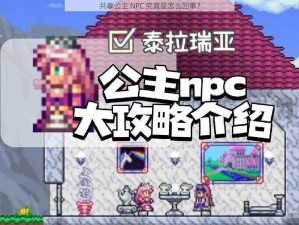 共享公主 NPC 究竟是怎么回事？