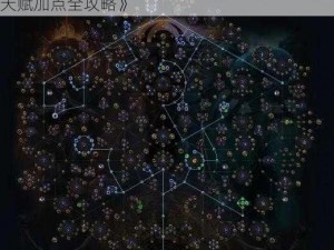 《流放之路贵族贵族玩法攻略：深度解析贵族天赋加点全攻略》