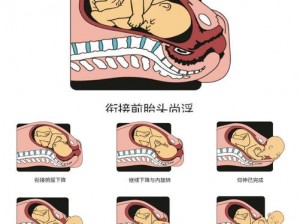 欧式分娩教程视频，轻松掌握科学分娩方法