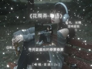 全新升级兴云弄雨又春风枕瑶钗，给你全新体验