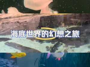 海底秘境探险之旅：安装指南与配置详解