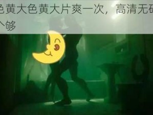 看全色黄大色黄大片爽一次，高清无码，一次看个够