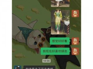 抖音游戏收纳达人：直男审美大挑战攻略指南