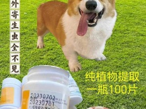 ZOOMSERVO 兽狗牧场，高品质宠物食品专家