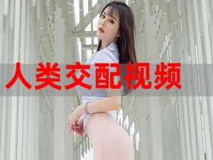 国产另类Z0ZXHD—国产另类 Z0ZXHD：打破传统的创新之选