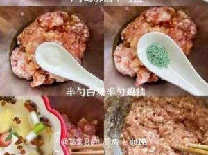 授课方式BY肉馅小水饺视频-如何通过授课方式 BY 肉馅小水饺视频学习？