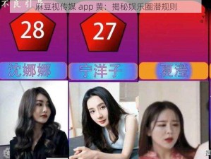 麻豆视传媒 app 黄：揭秘娱乐圈潜规则