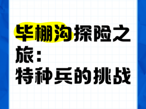 打造与冒险：一场乐趣无穷的探险之旅简介