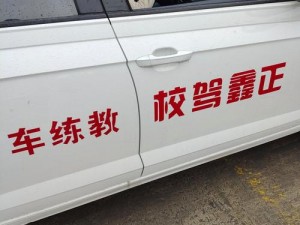 练车练到教练身上去了 H：解析如何选择适合自己的教练