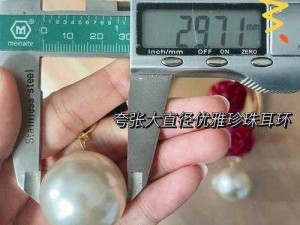 接待一个 30mm 直径的客户需要多少钱