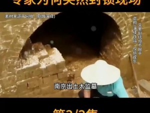 《齐教授的盗墓秘术：盗墓长生印中的专家价格揭秘》