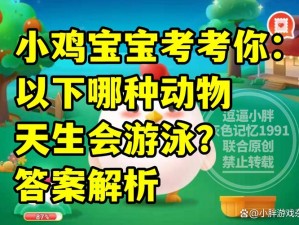 蚂蚁庄园萌宠揭秘：会揉脸还会胸口碎大石——探索宠物界的奇妙精灵