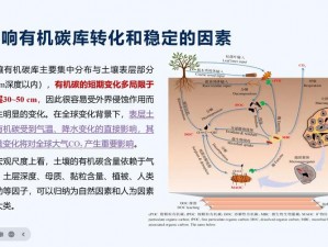 碳复合材料：地球末日生存的关键获取途径