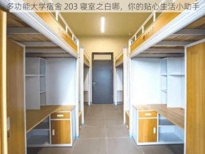 多功能大学宿舍 203 寝室之白哪，你的贴心生活小助手