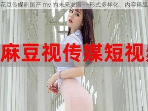 麻花豆传媒剧国产 mv 的未来发展——形式多样化、内容精品化