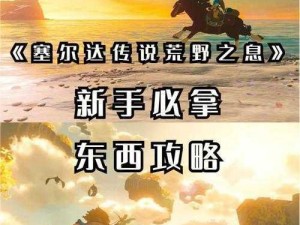 塞尔达传说荒野之息水神兽攻略详解：过关技巧与攻略秘籍揭秘