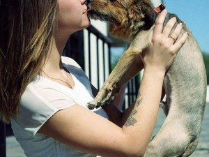 曰本女人与拘的交酡过程视频：探索神秘的日化与犬类的奇妙互动